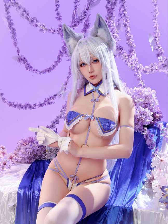 星之迟迟 NO.269 2025年12月计划F 碧蓝航线 信浓 [60P-334MB]